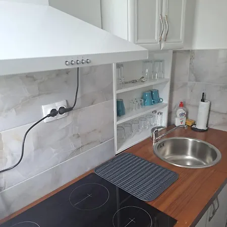 Mystique Vracar Apartman Belgrád